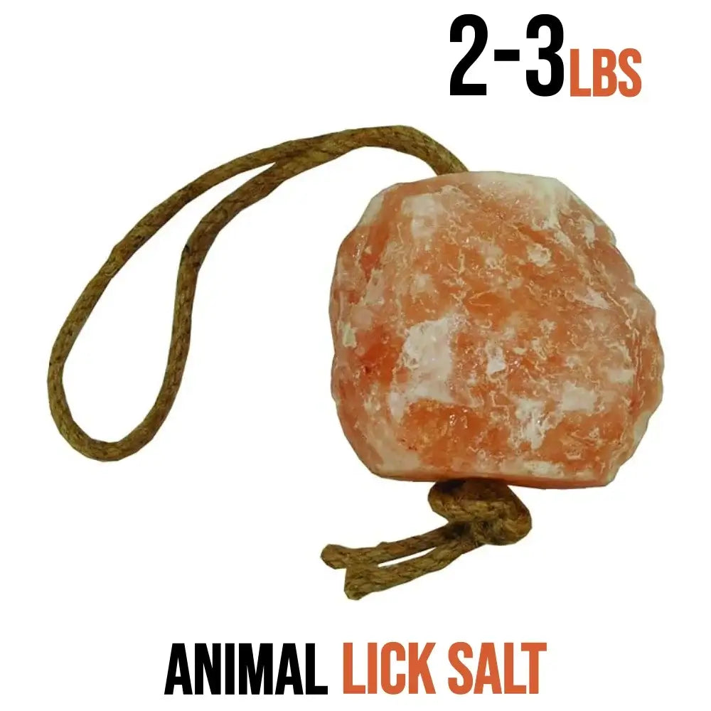 salt lick for goats