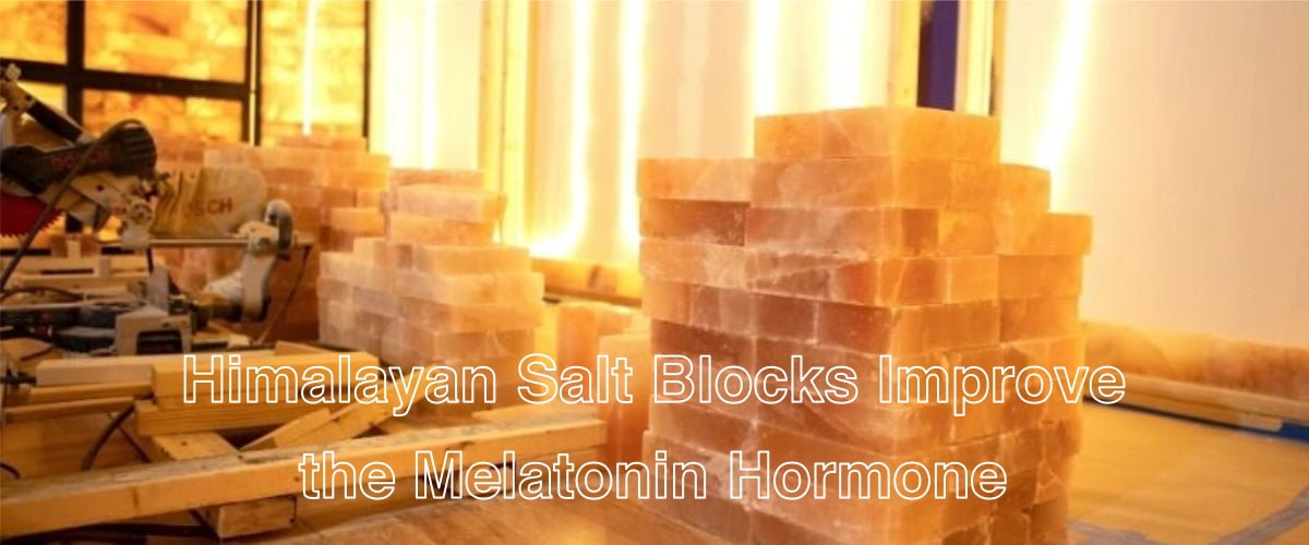 Himalayan salt blocks for wall