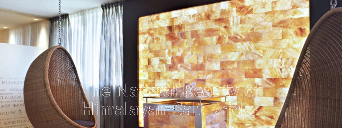 Himalayan salt bricks for interior