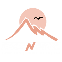 Salt n Soul Logo