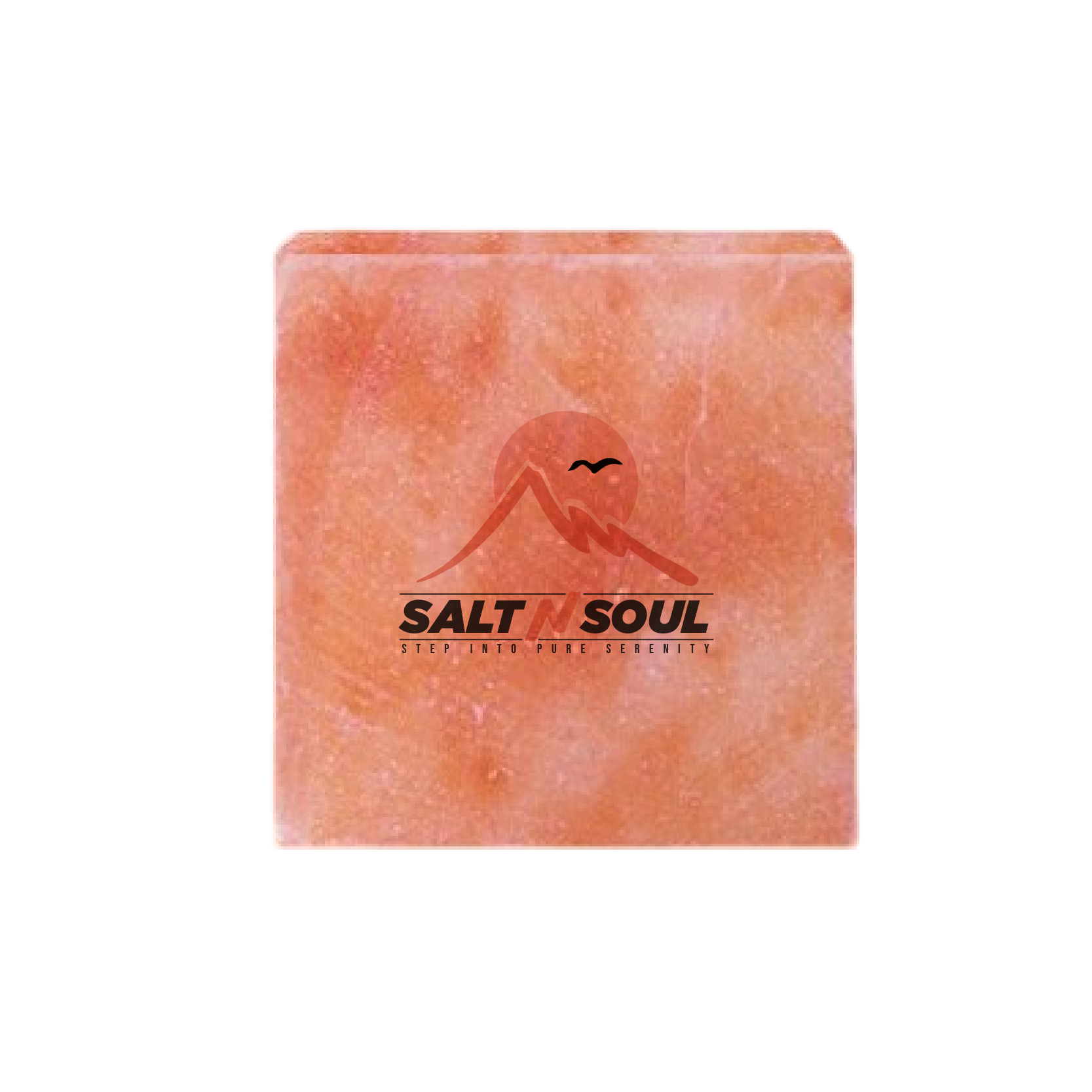 salt cooking block